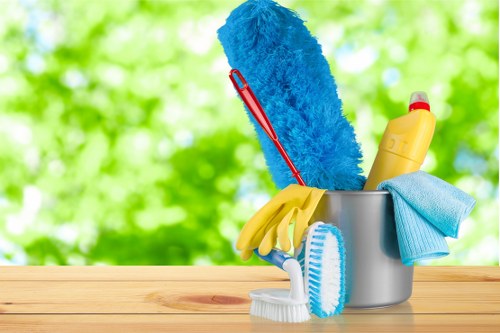 Illustration of accessible cleaning services in Bow