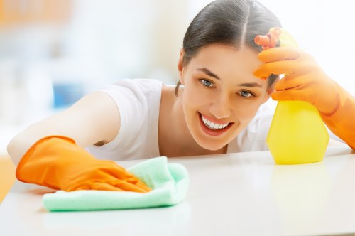 Cleaning professional preparing service equipment for a booked appointment