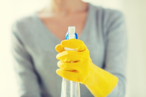 Professional cleaners Bow team introducing local cleaning services