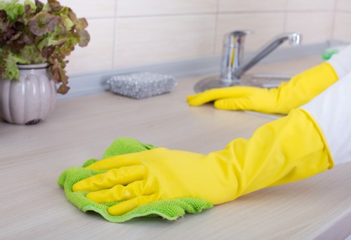 Professional cleaners in Bow providing home cleaning services