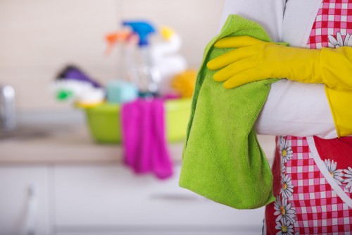 Cleaner beginning work with safety equipment in a tidy environment