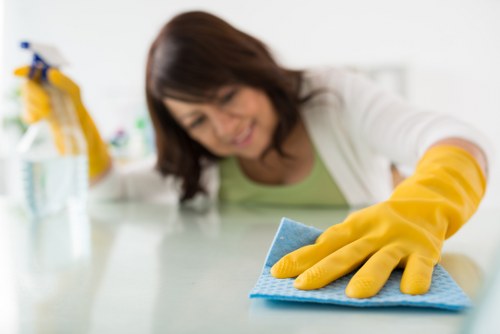 Deep cleaning fabric furniture in a Bow flat