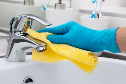 Detailed cleaning of a bathroom as part of a Bow deep clean