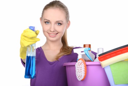 Regular domestic cleaning in a Bow apartment