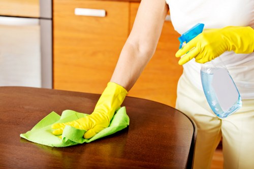 Local oven cleaner working in a flat near Bow